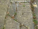 image of grave number 750110